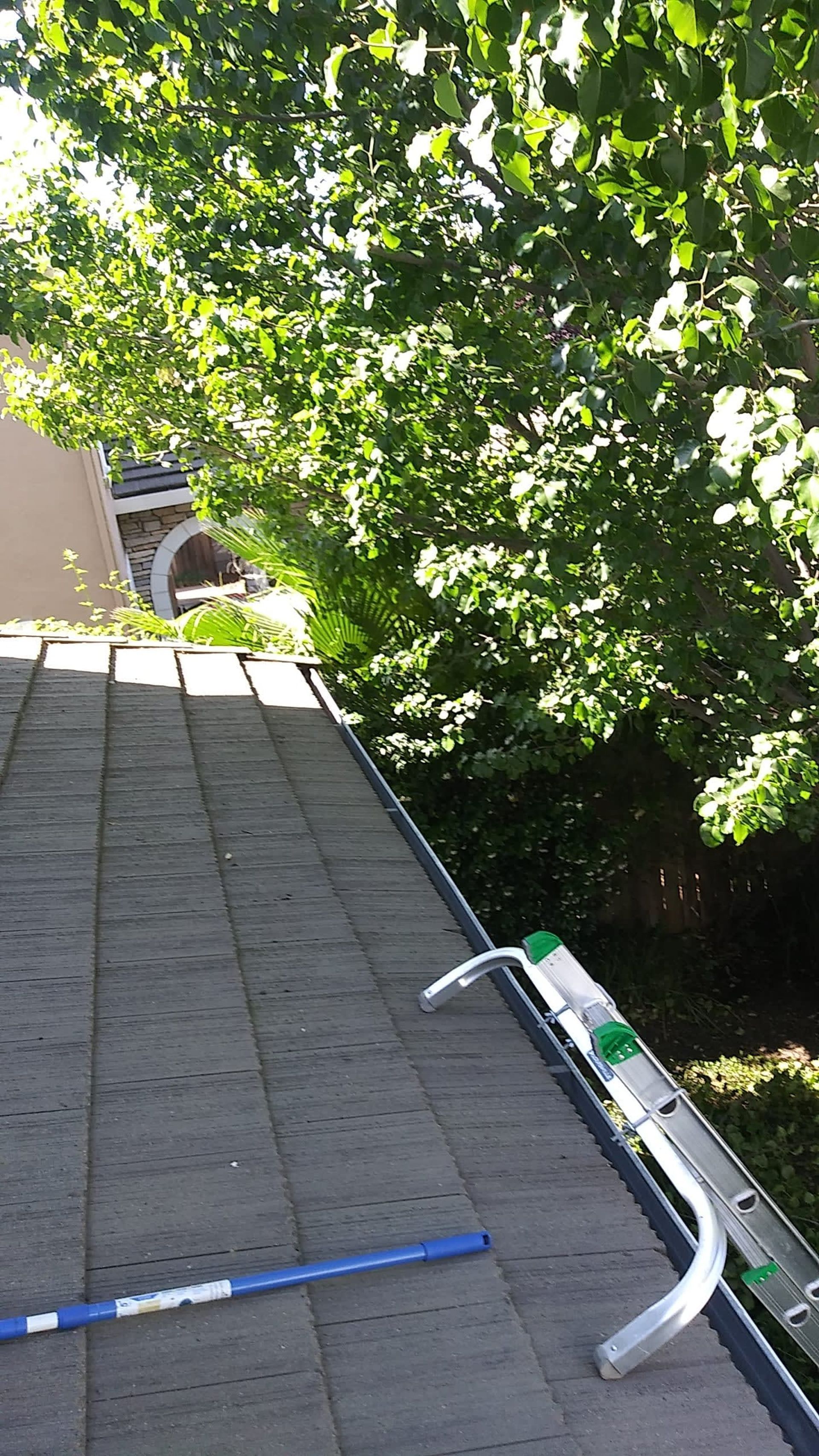 View of a roof with a gutter, ladder, and a long blue cleaning tool with a green lawn and tree in the background.