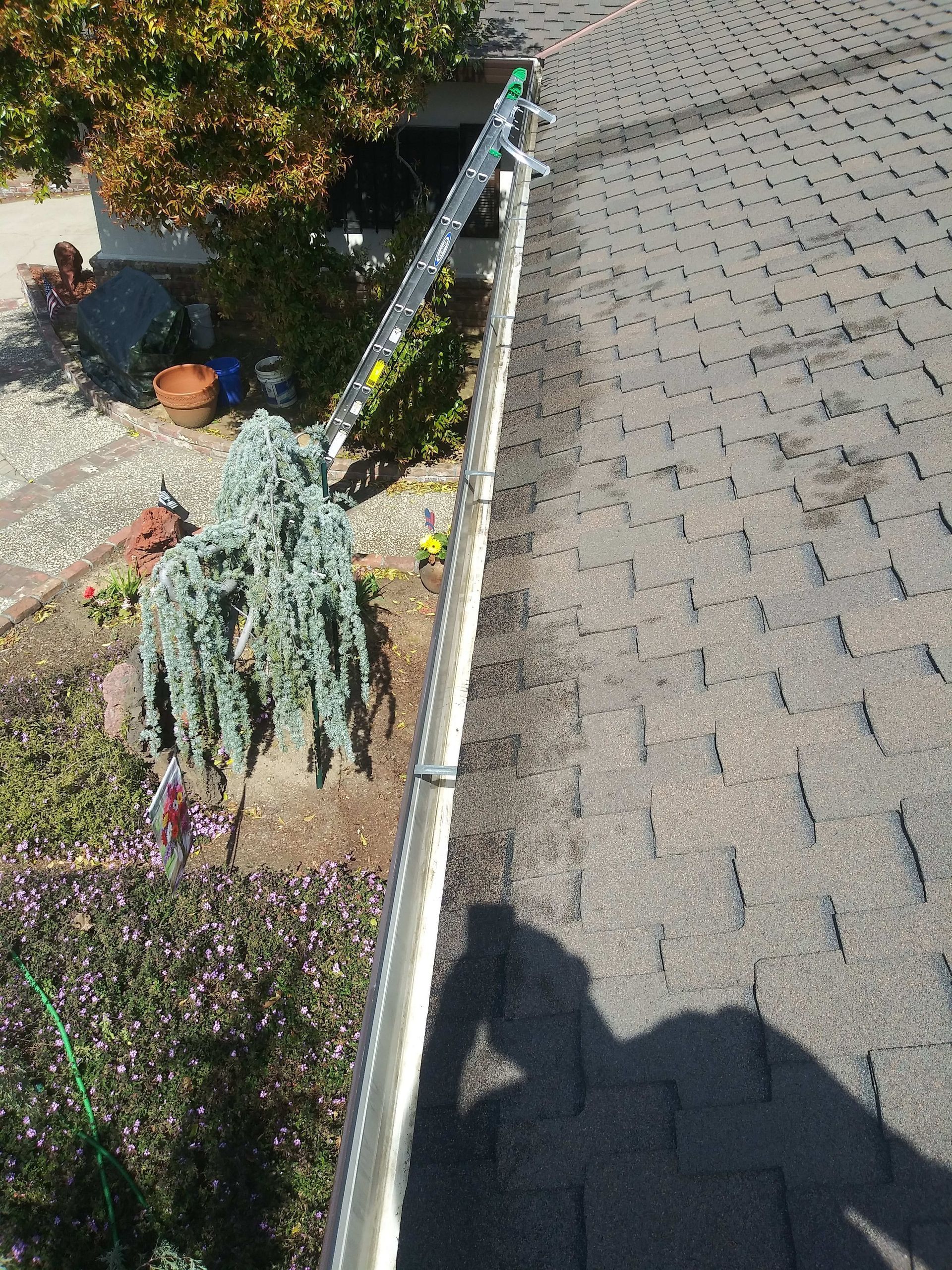Gutter cleaning: a ladder along a roof, person's shadow on roof, and a garden with plants.