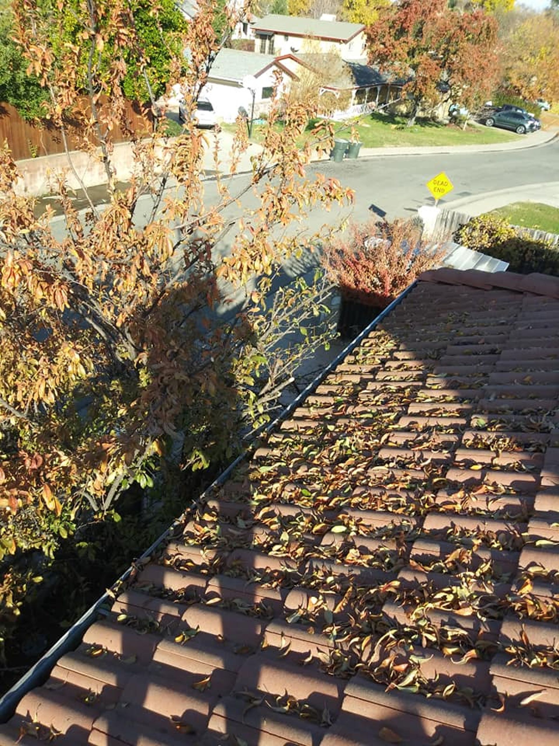 Brown tile roof covered in fallen leaves, overlooking a street and houses in autumn.