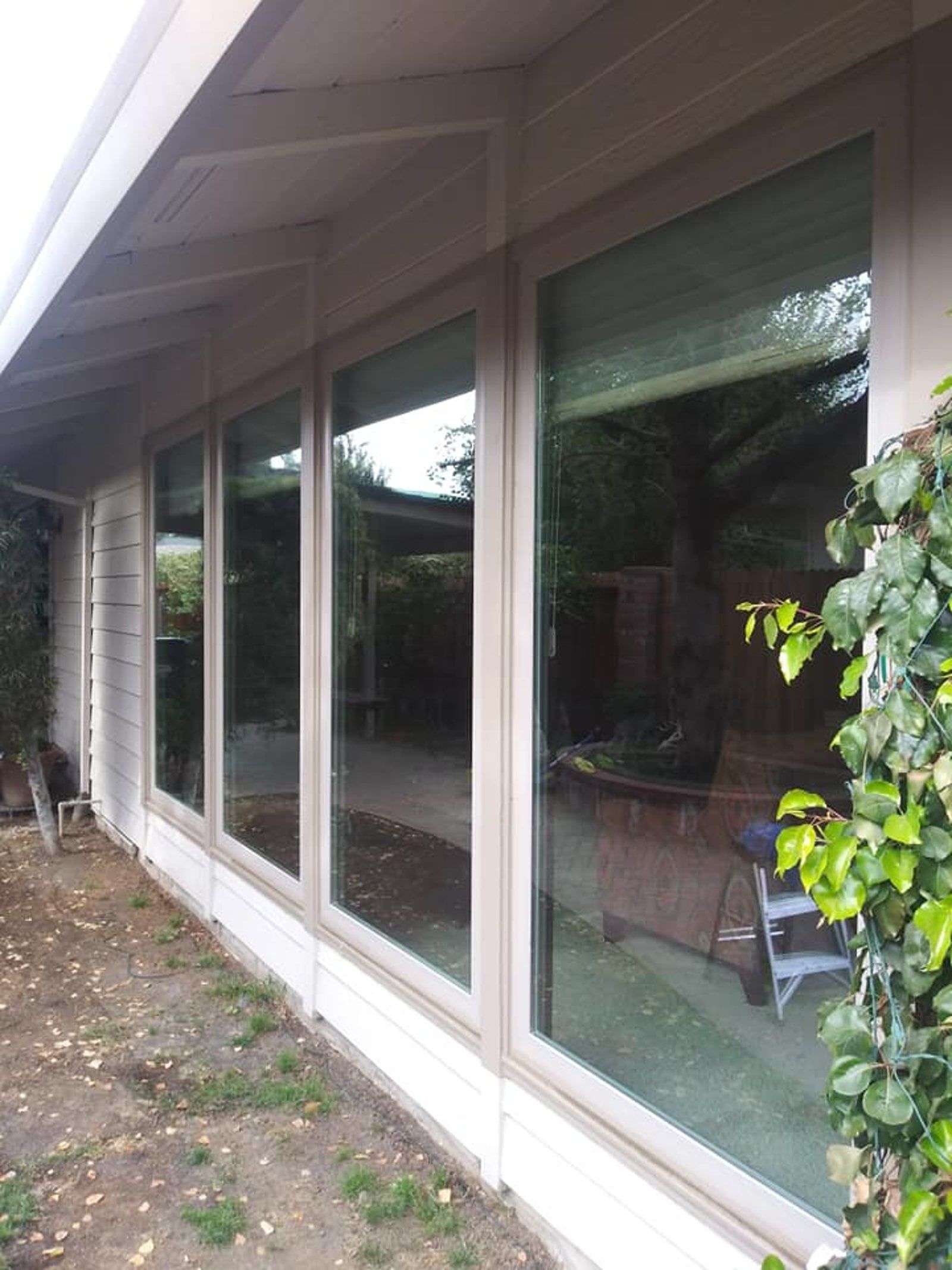 Row of large windows on a light-colored house reflecting the outdoors.