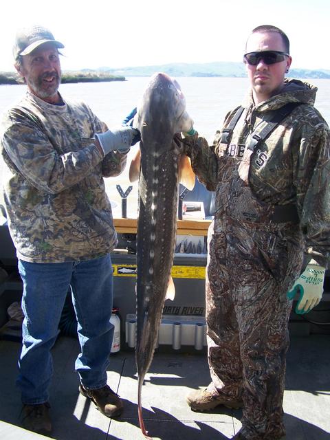 Two men standing next to each other holding a large fish