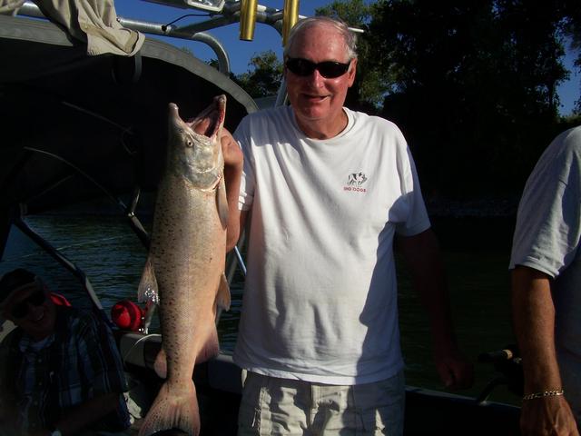 A man in a white shirt is holding a large fish