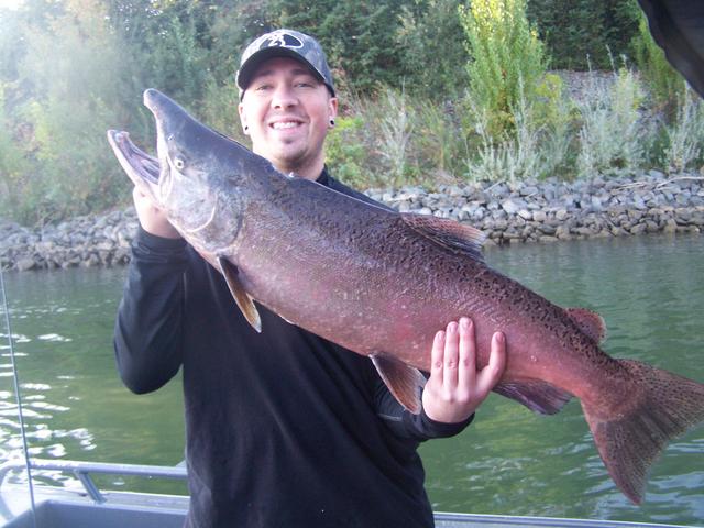 A man is holding a large fish in front of a body of water.