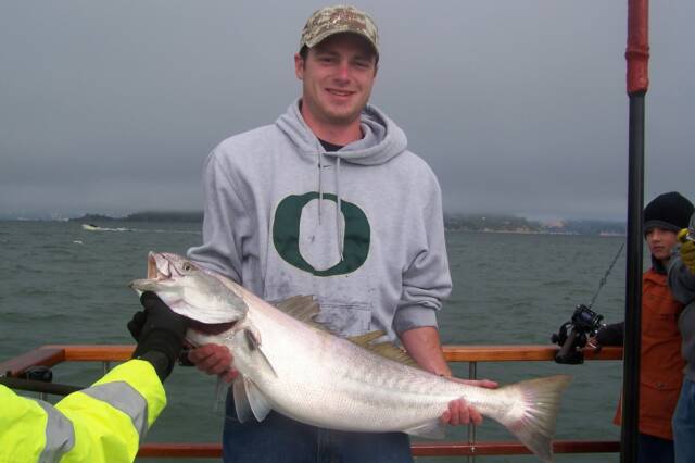 A man in an o sweatshirt is holding a large fish