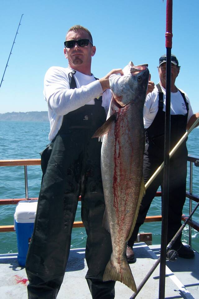 A man is holding a large fish on a boat