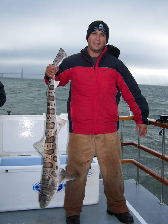 A man in a red jacket is holding a large fish
