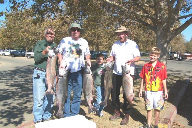 A group of people holding fish in front of a tree