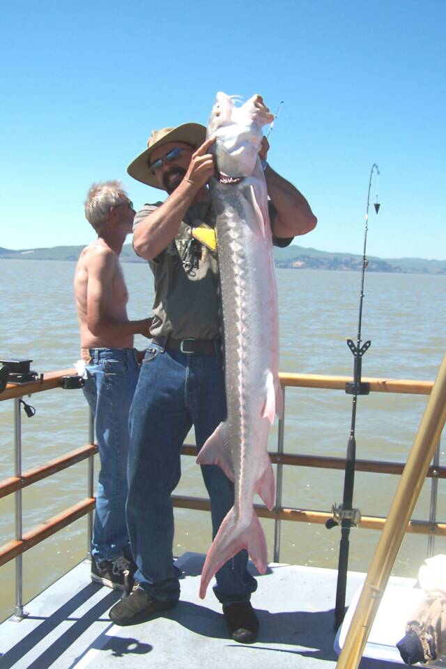 A man is holding a large fish on a boat