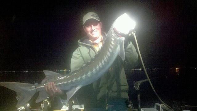 A man is holding a large fish in his hands
