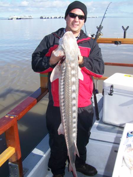 A man is holding a large fish on a boat