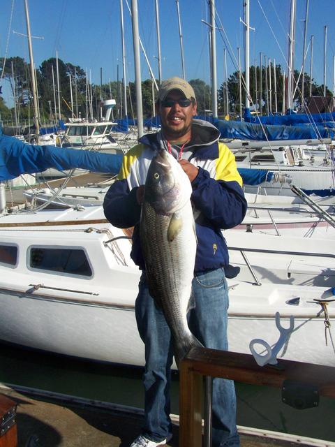 A man is holding a large fish in front of boats
