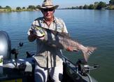 A man is standing on a boat holding a large fish.