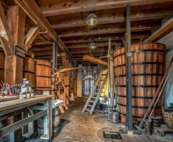 museumticket Jenevermuseum & Walvischmolen