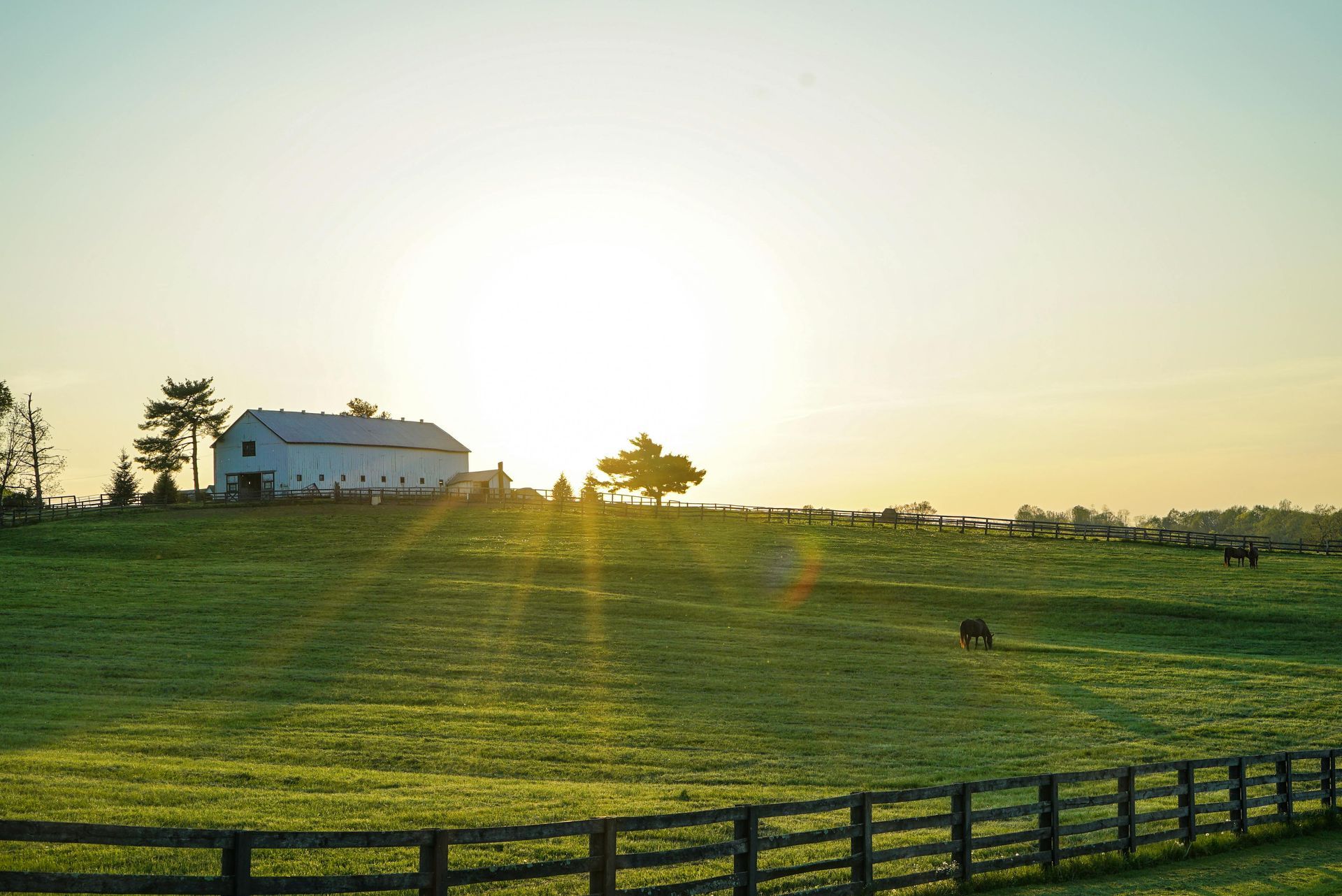 Rolling green pasture with a white barn, fence, and grazing horses; the bright sun is low in the sky.