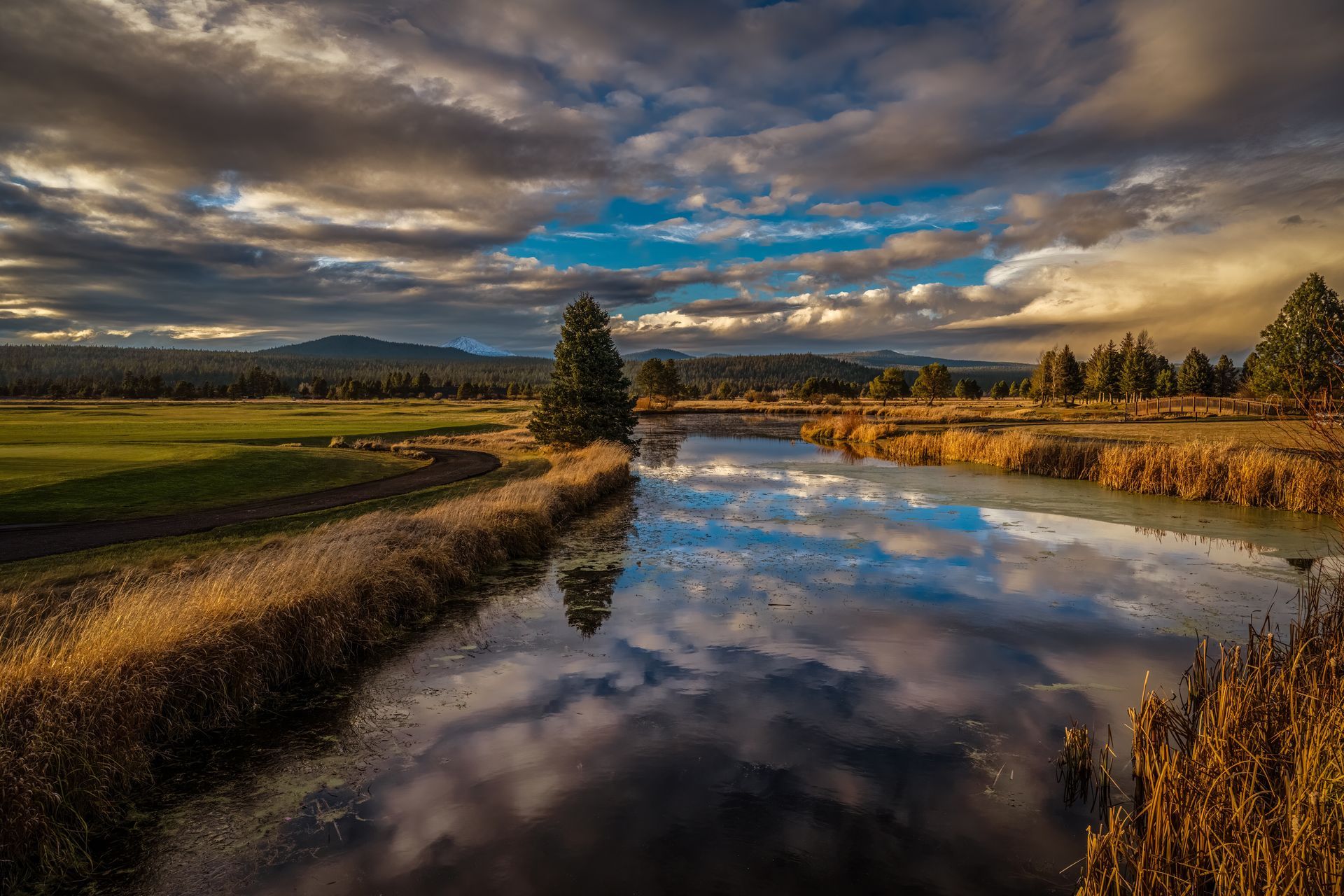 a river runs through a grassy field with trees and clouds reflected in the water .