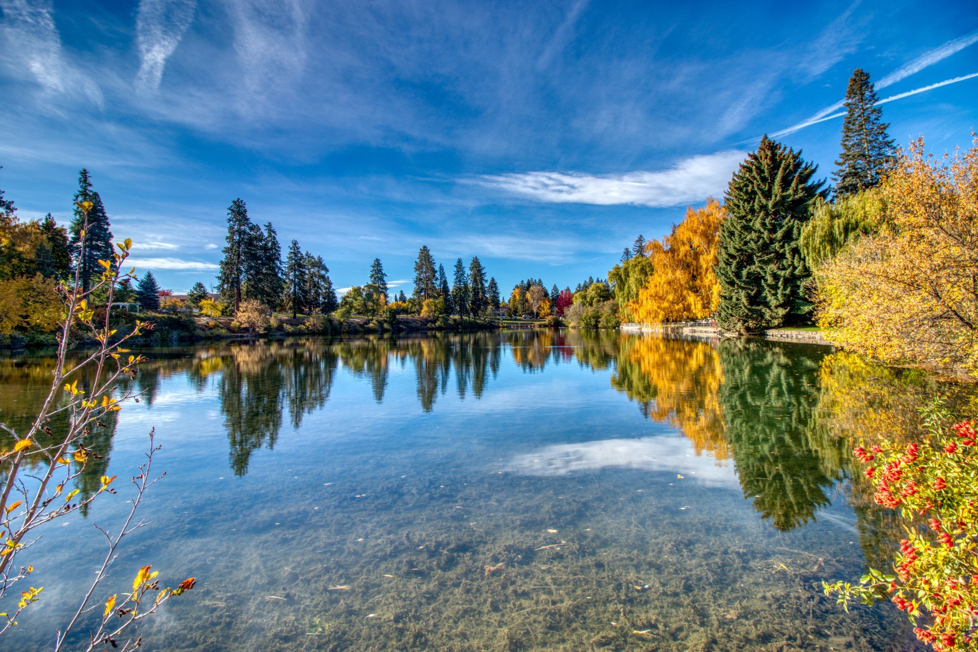 a lake surrounded by trees on a sunny day