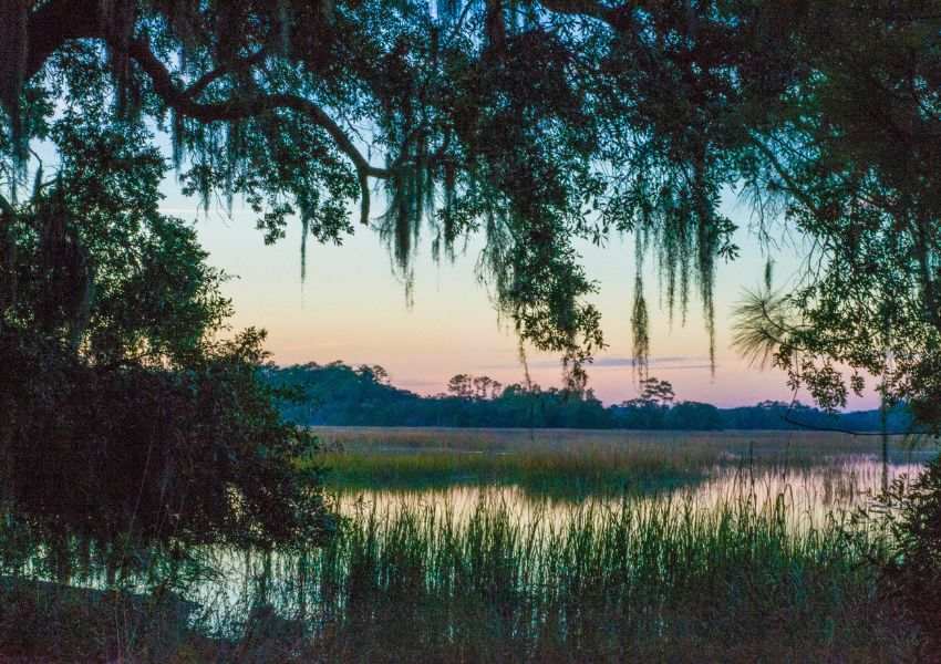 A sunset view of South Carolina waters is pictured from underneath a willow tree.