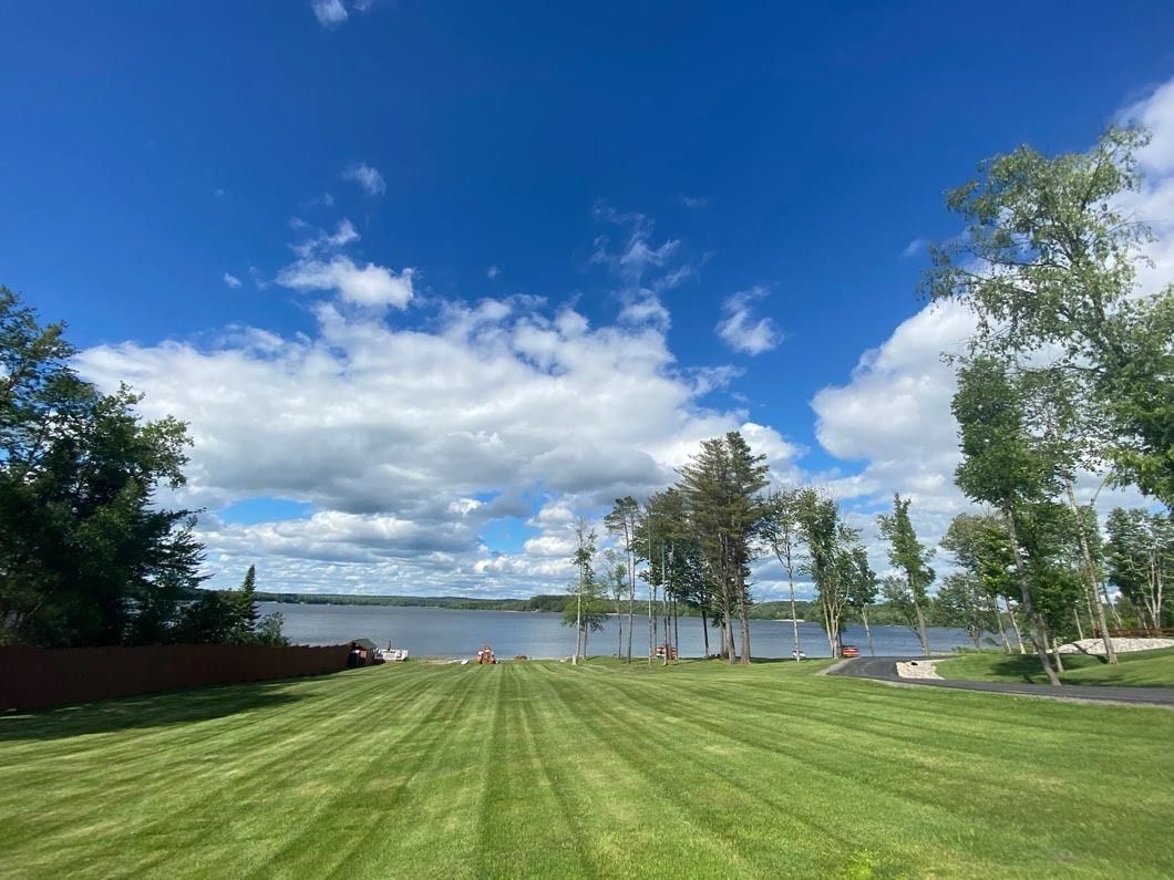 A lush green field with trees and a lake in the background on a sunny day.