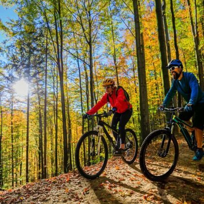A man and a woman are riding bicycles down a trail in the woods.