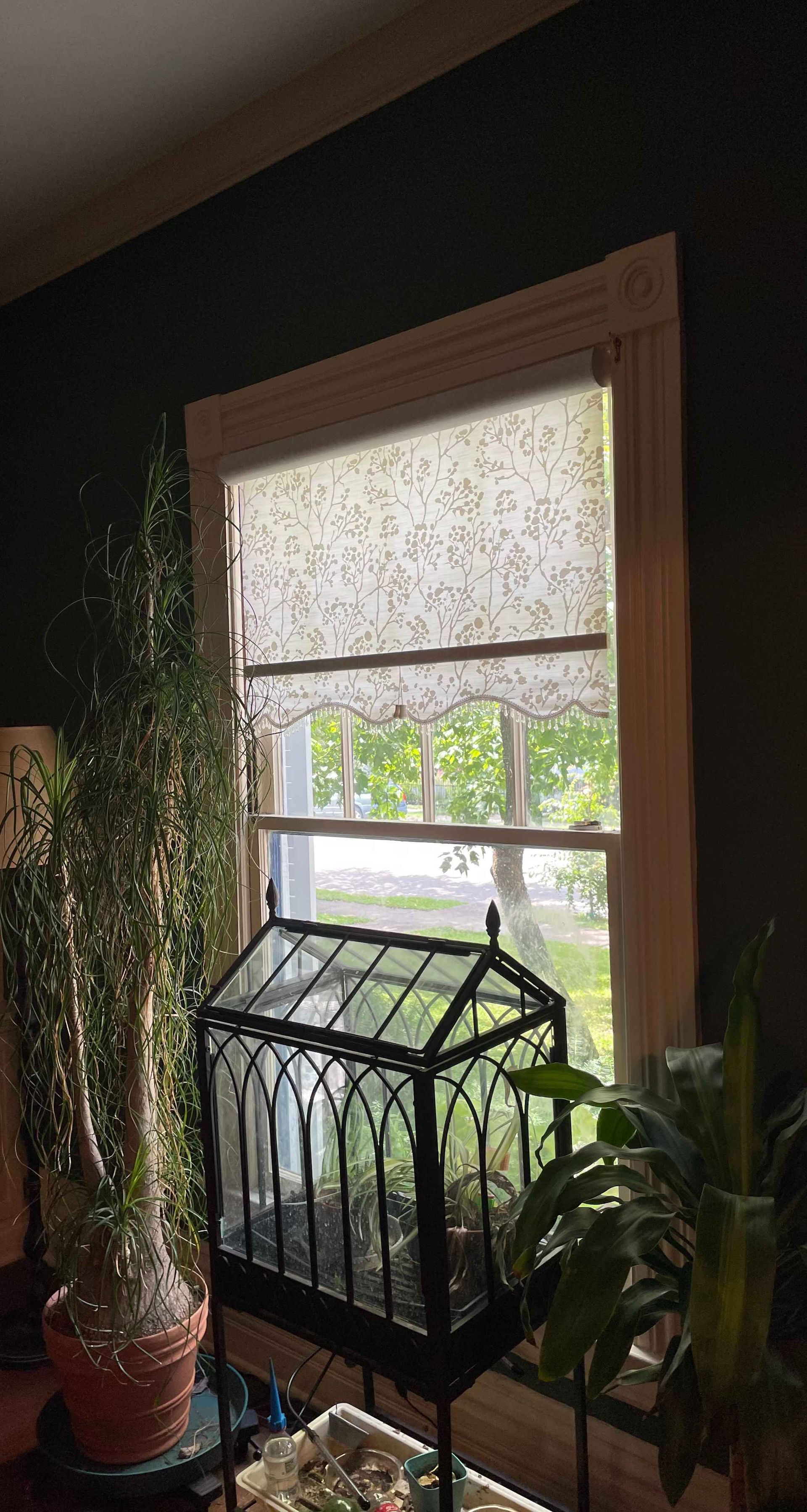 Blue-framed window with white shutters and ornate trim on a pale blue clapboard house