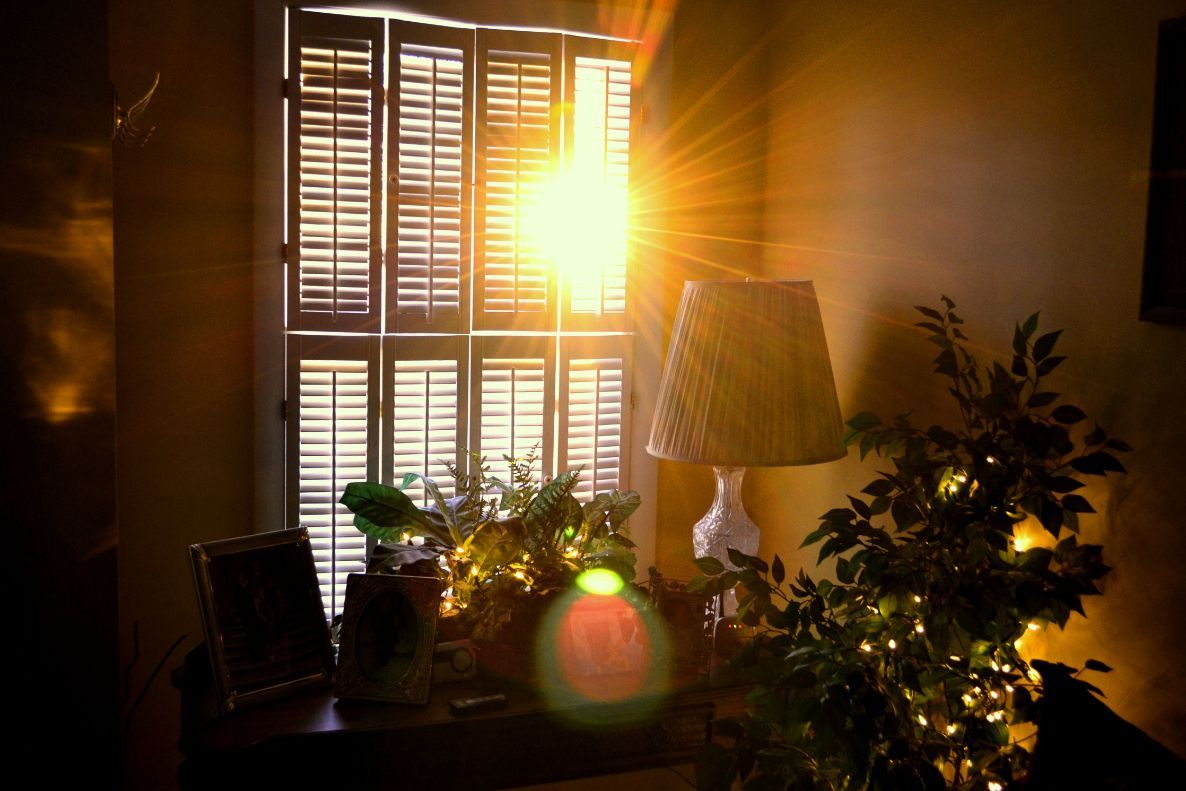 Bright sunlight through a window with shutters illuminates a lamp and plants on a shelf.
