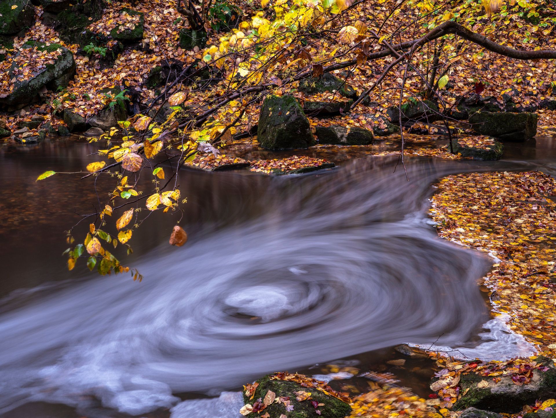 Whirlpool in a stream, surrounded by fall foliage and rocks.