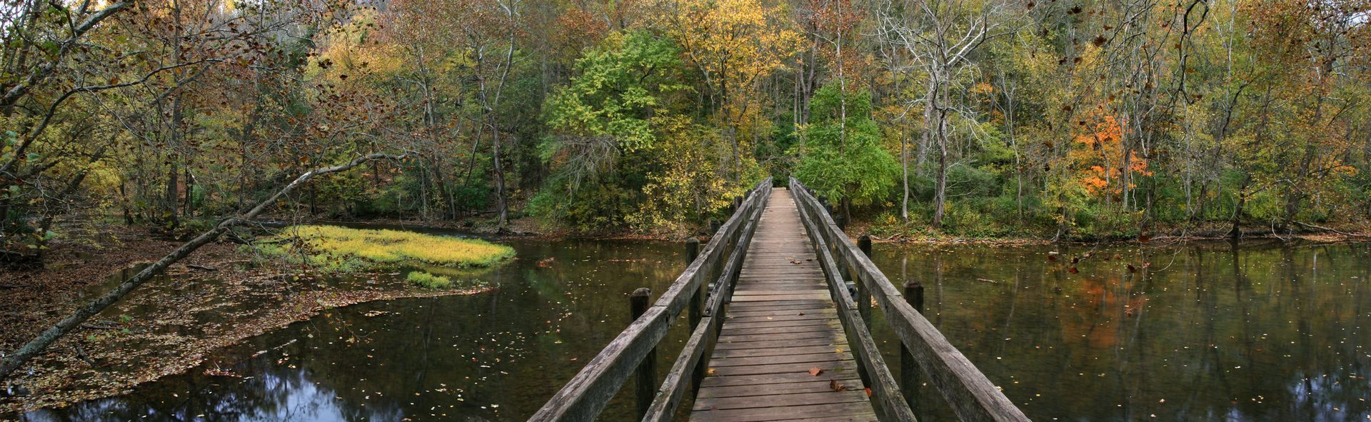 A wooden bridge stretches over dark water, leading to a lush forest with autumn colors.