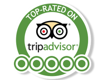 A tripadvisor logo that is green and white