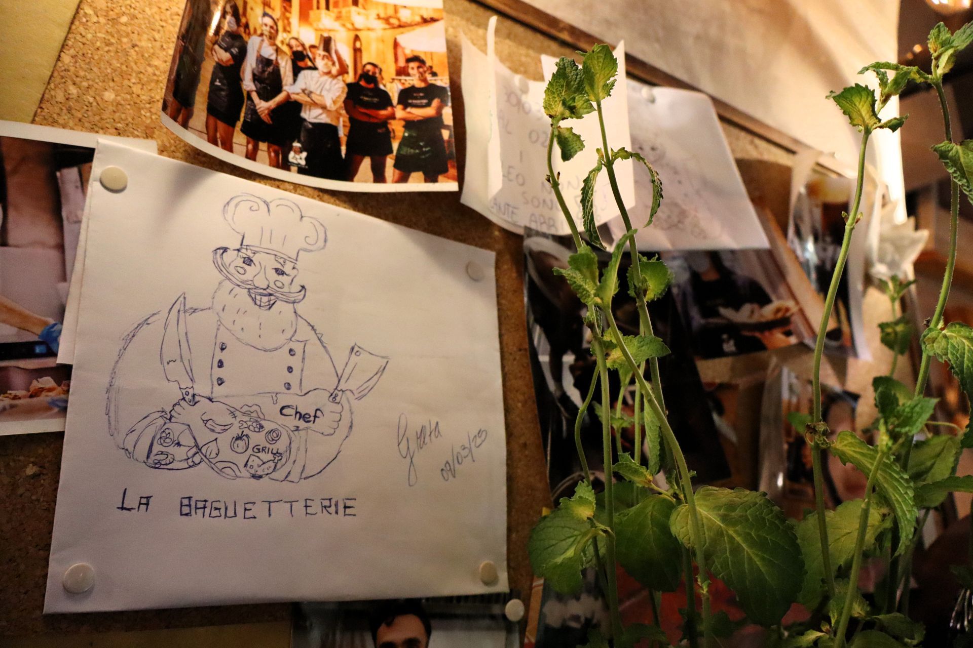 MSF25 MONSTERS HR'70