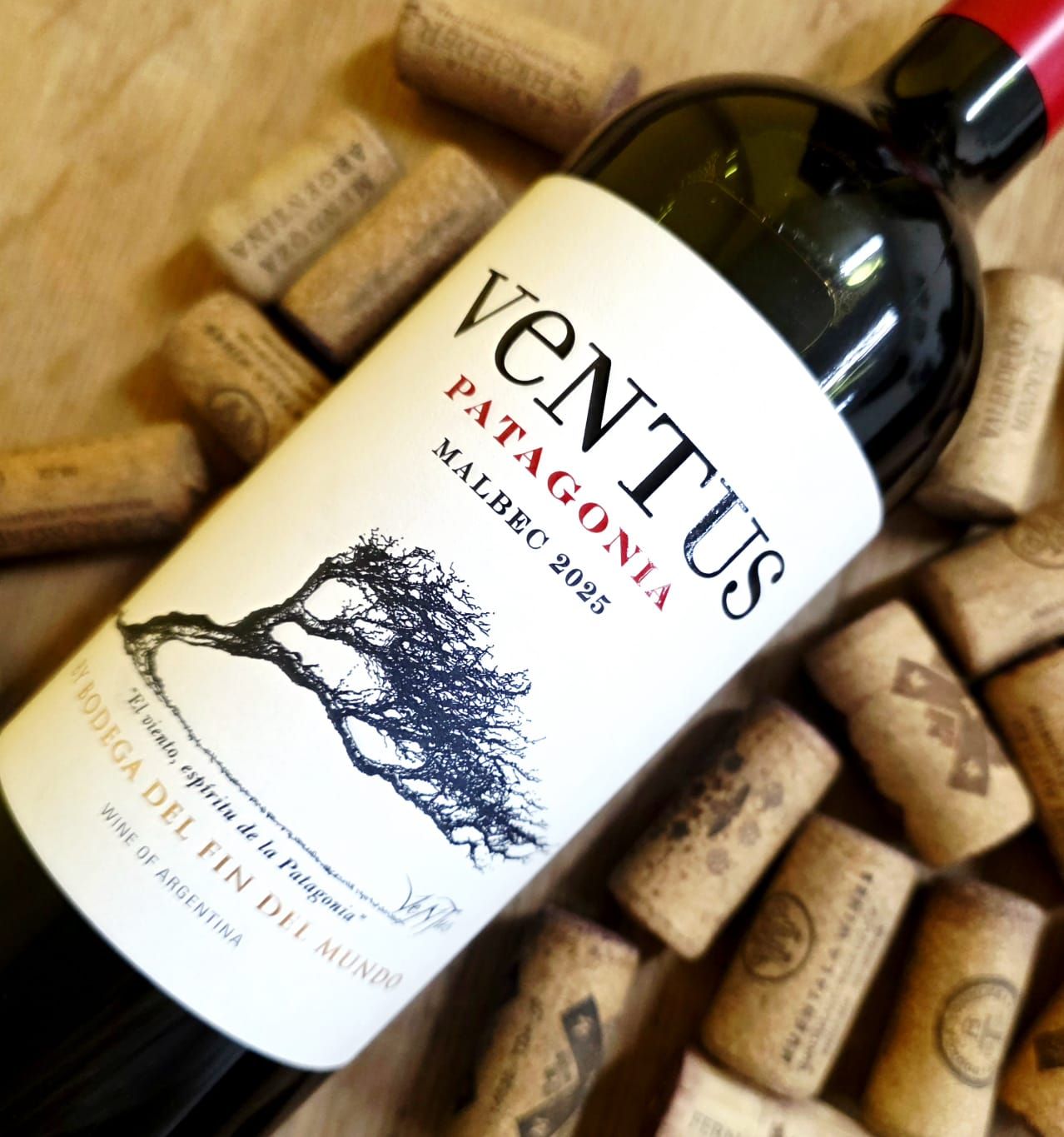 Una botella de vino Ventus Patagonia Malbec 2025, colocada en ángulo