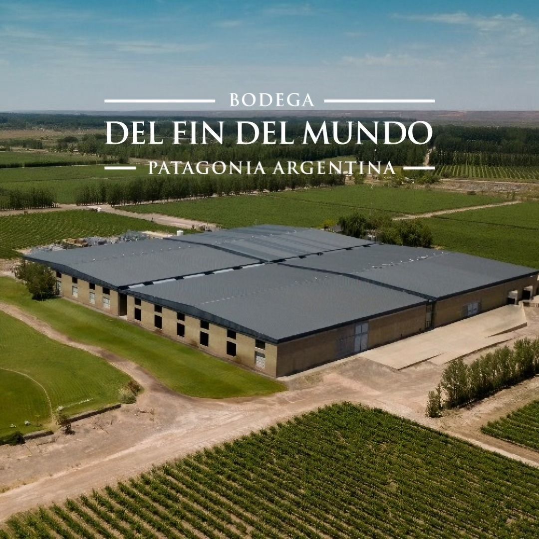 Vista aérea de la Bodega Del Fin Del Mundo en la Patagonia, Argentina, rodeada de viñedos.