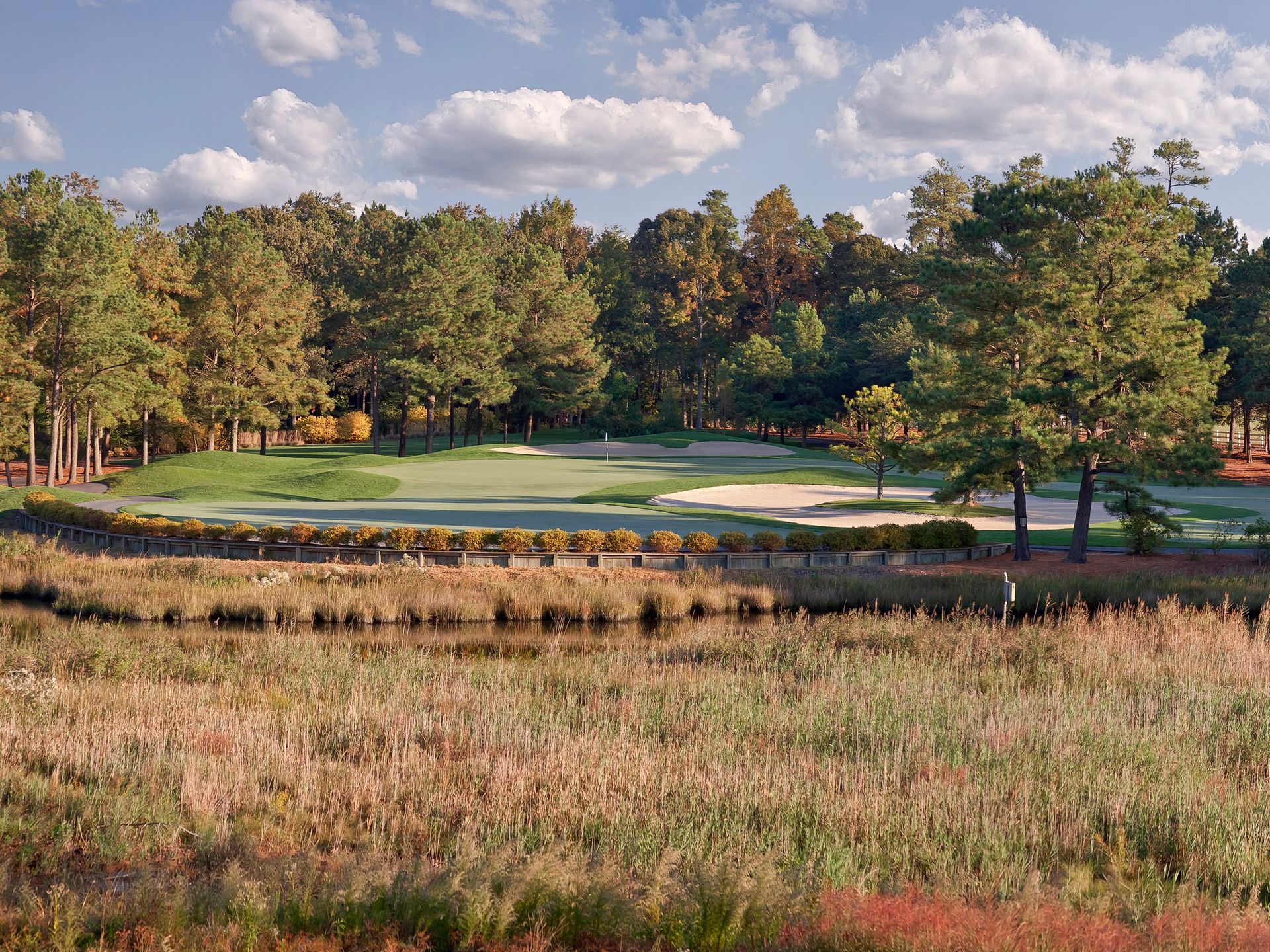 A golf course with trees in the background and a field in the foreground