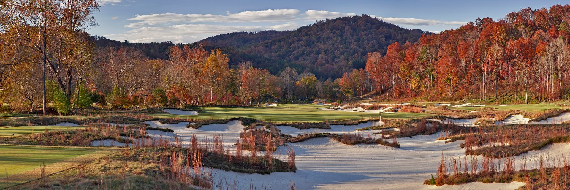 There is a river in the middle of a forest with mountains in the background.