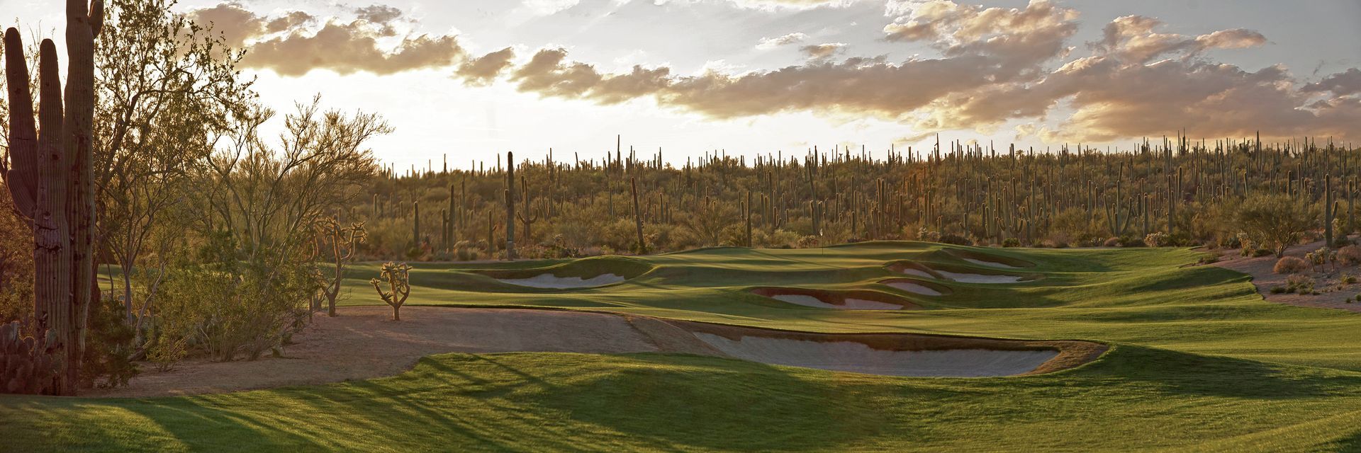 A sunset over a lush green field with trees in the background.