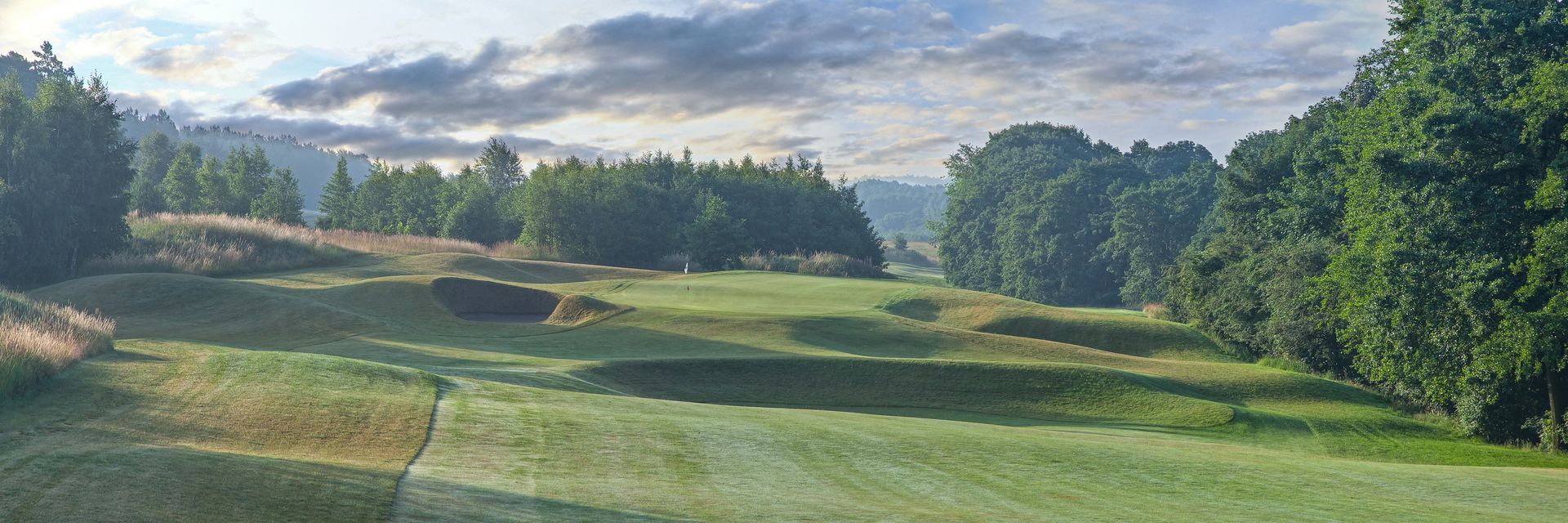 A painting of a golf course with trees in the background.