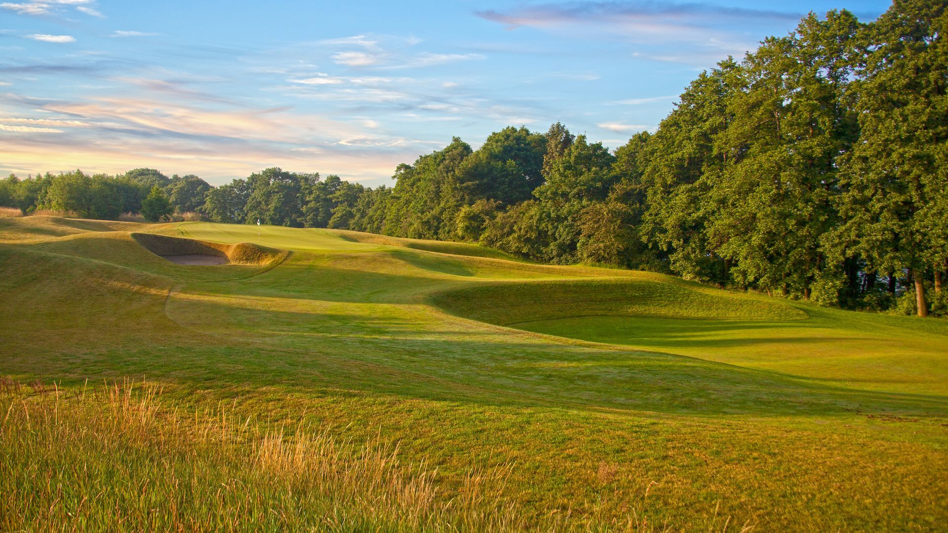 A golf course with a lot of grass and trees in the background.