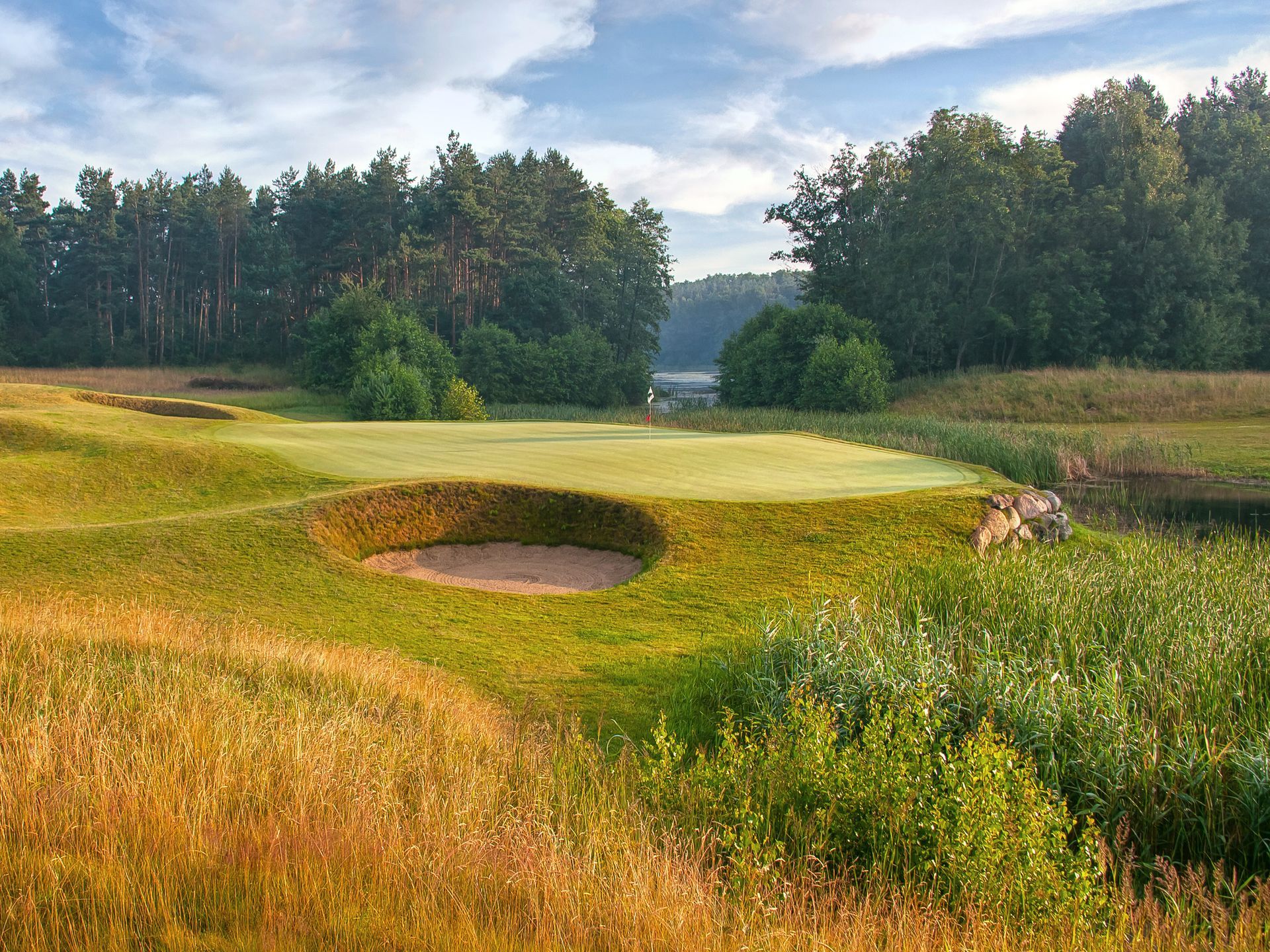 A golf course with a hole in the middle of it and trees in the background.