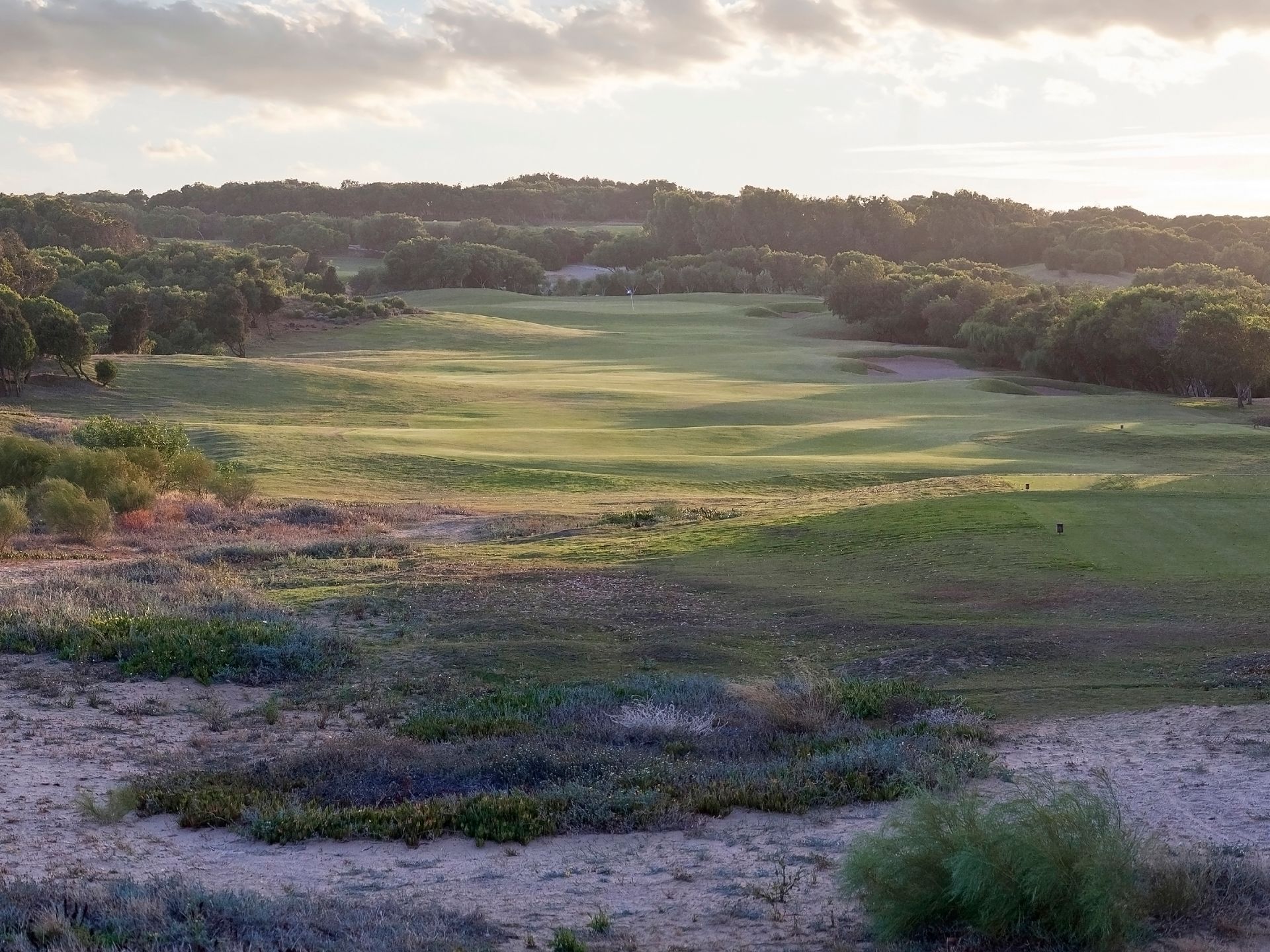 A large grassy field with trees in the background