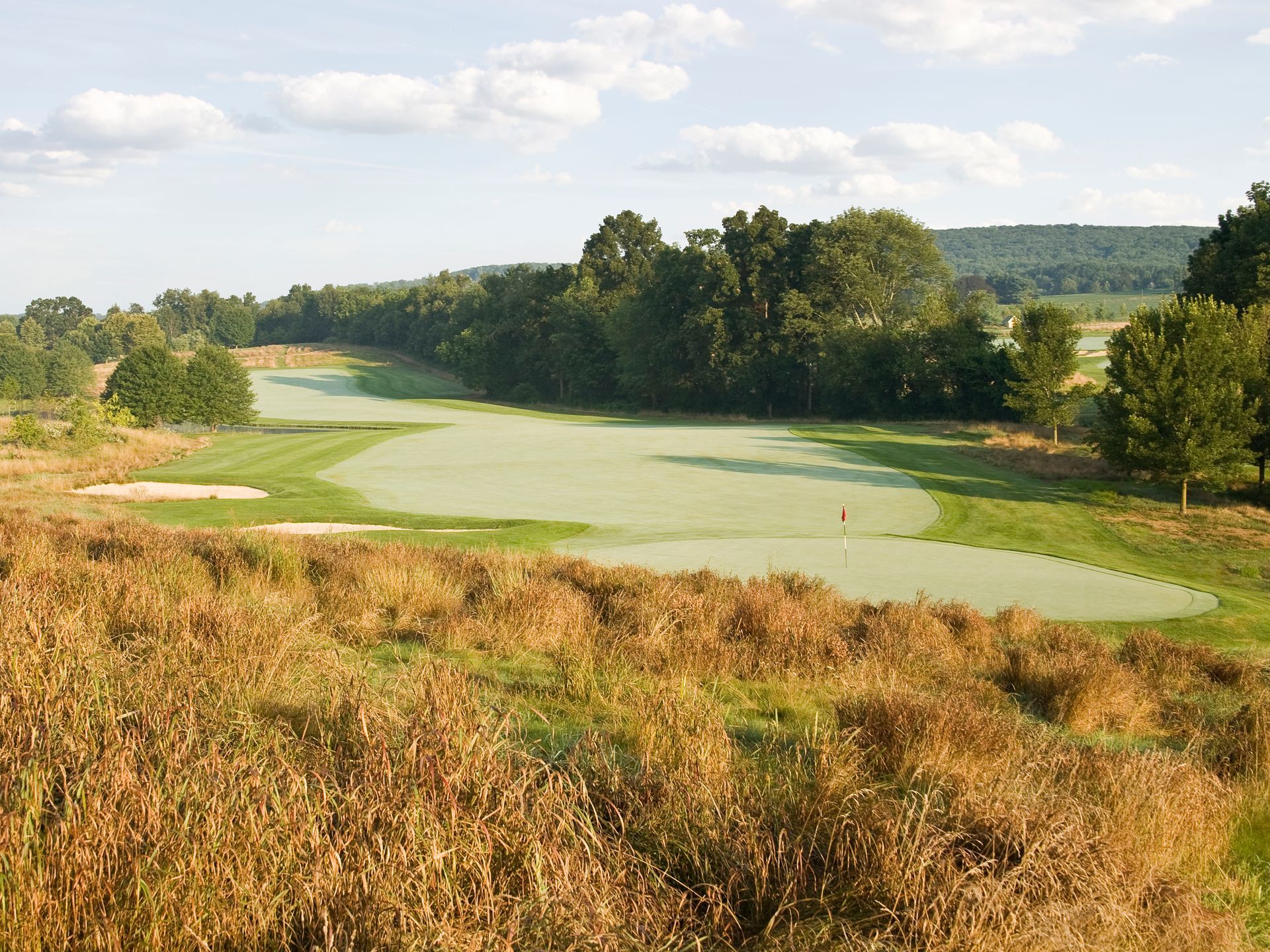 A river flowing through a grassy field with trees in the background
