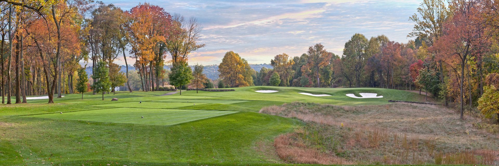 A painting of a golf course with trees in the background.
