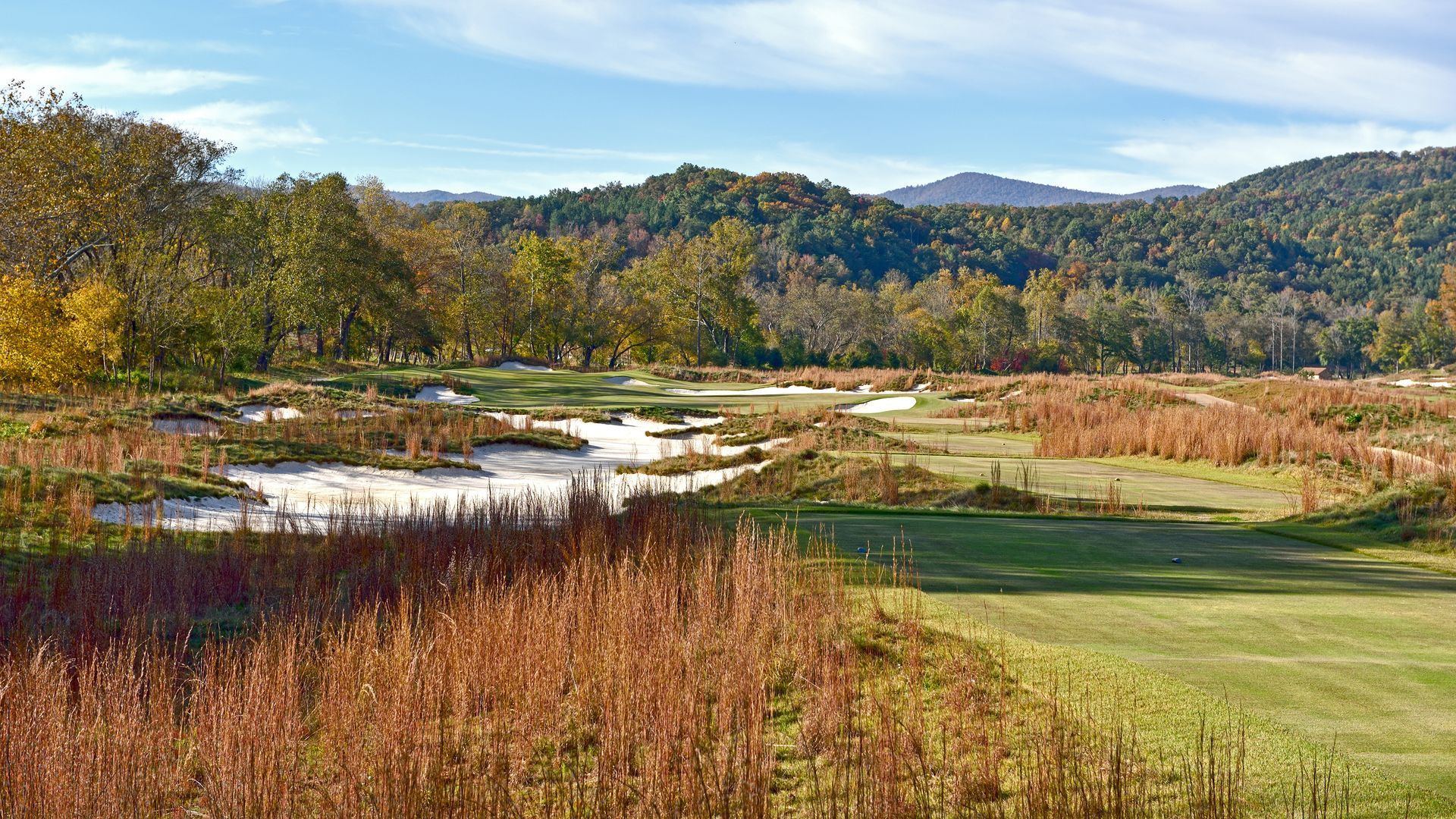 A lush green field with a river running through it and mountains in the background.