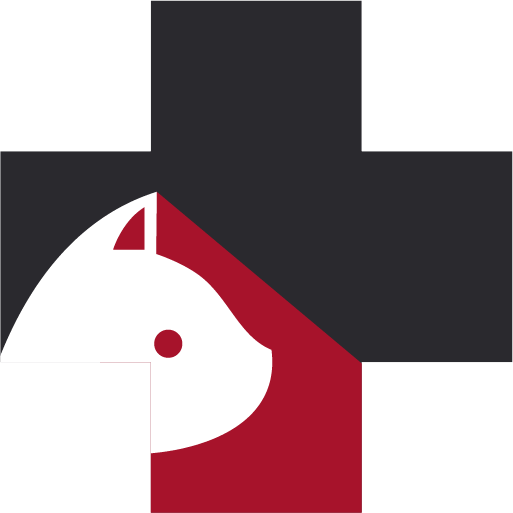 Page d'accueil de la clinique vétérinaire de VilleboisLavalette