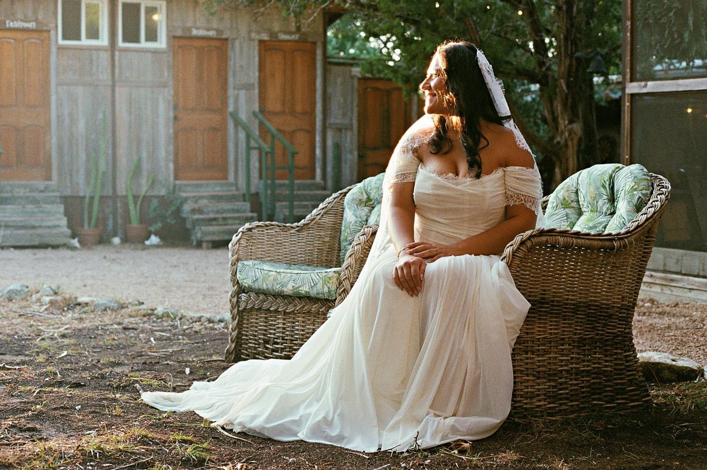A weathered stone birdbath filled with murky water, situated in a garden next to a leafy green bush.