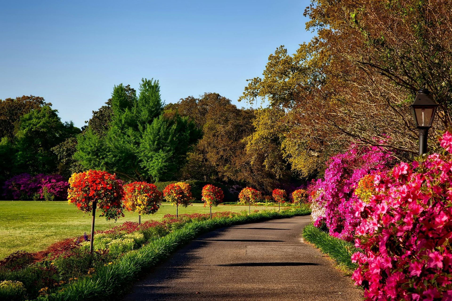 A path in a park surrounded by flowers and trees