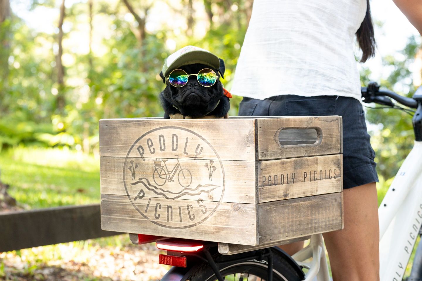 Dog friendly tamborine mountain