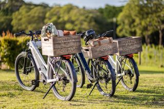 things to do on tamborine mountain