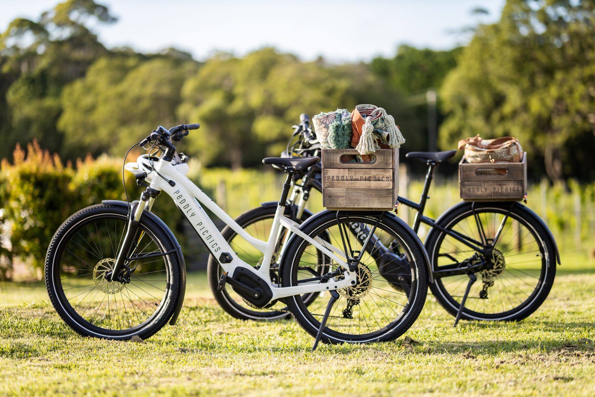 Things to do Tamborine