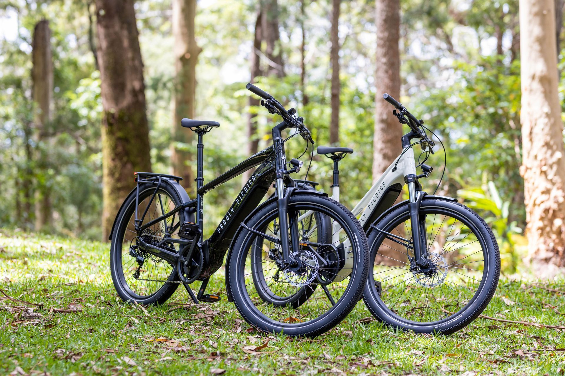 mt tamborine mountain bike trails