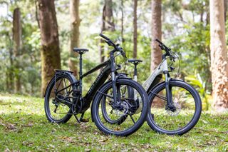 mt tamborine mountain bike trails