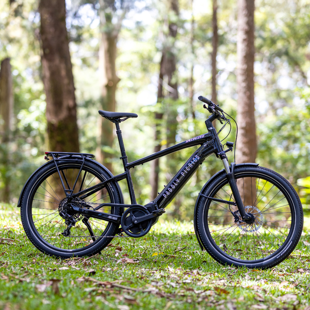 Bike Rental Tamborine Mountain